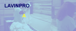 Lavinpro